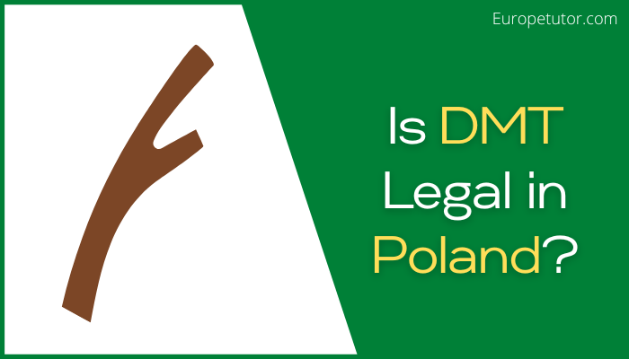 Is DMT Legal in Poland?