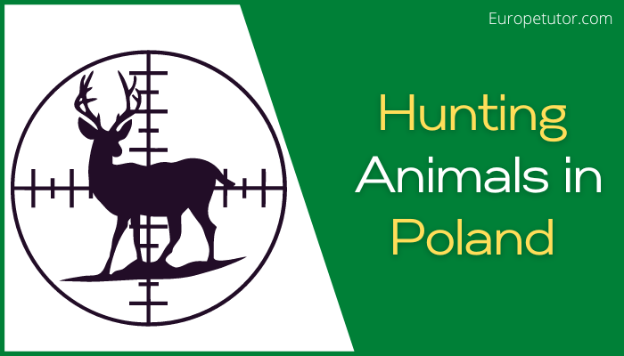 Is Hunting Legal in Poland?